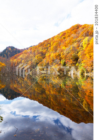 紅葉の津軽白神湖 紅葉の津軽白神湖 101834400