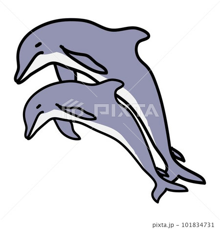 Doodle Cartoon of Dolphin on Round Background Doodle Cartoon of Dolphin on Round Background 101834731