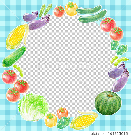 Round frame material of summer vegetables on blue checkered background 101835016