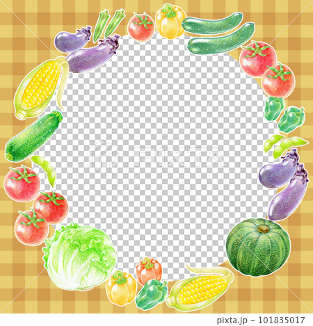 茶色チェック柄背景の夏野菜の円形フレーム素材 101835017