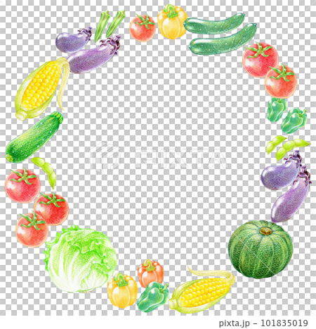 Circular frame material of summer vegetables 101835019