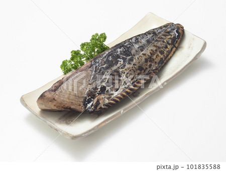鰹のたたき 鰹のたたき 101835588