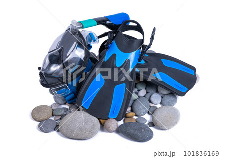 flippers on pebbles isolated 101836169
