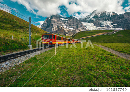Electric tourist cogwheel train on the green slope in Switzerland 101837749