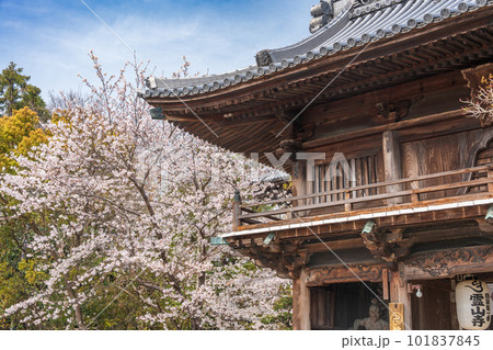 【第1番札所】桜咲く霊山寺 仁王門【四国八十八箇所】 【第1番札所】桜咲く霊山寺 仁王門【四国八十八箇所】 101837845