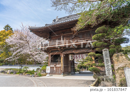 【第1番札所】桜咲く霊山寺 仁王門【四国八十八箇所】 【第1番札所】桜咲く霊山寺 仁王門【四国八十八箇所】 101837847