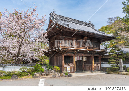 【第1番札所】桜咲く霊山寺 仁王門【四国八十八箇所】 【第1番札所】桜咲く霊山寺 仁王門【四国八十八箇所】 101837858