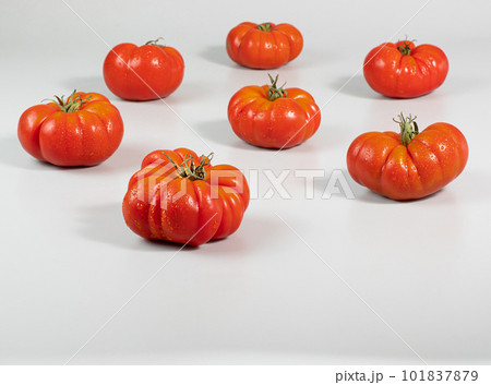 A group of Costoluto big tomatoes on a white background	 101837879