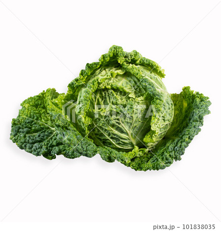 Fresh savoy cabbage on white background Fresh savoy cabbage on white background 101838035