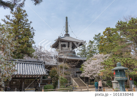 【第1番札所】桜咲く霊山寺　多宝塔【四国八十八箇所】 101838048