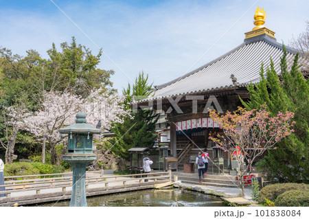 【第1番札所】桜咲く霊山寺　大師堂【四国八十八箇所】 101838084