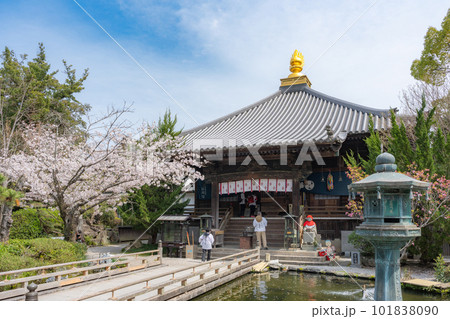 【第1番札所】桜咲く霊山寺　大師堂【四国八十八箇所】 101838090