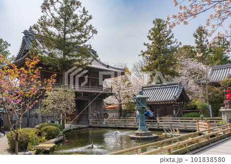 【第1番札所】桜咲く霊山寺 放生池【四国八十八箇所】 【第1番札所】桜咲く霊山寺 放生池【四国八十八箇所】 101838580