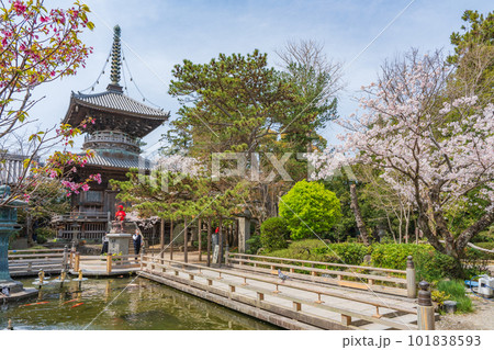 【第1番札所】桜咲く霊山寺 多宝塔【四国八十八箇所】 【第1番札所】桜咲く霊山寺 多宝塔【四国八十八箇所】 101838593