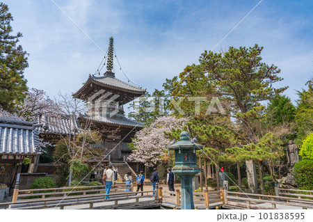 【第1番札所】桜咲く霊山寺　多宝塔【四国八十八箇所】 101838595