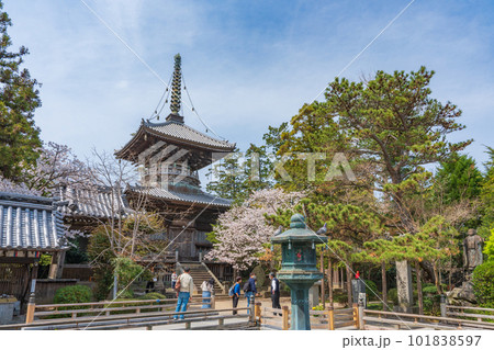 【第1番札所】桜咲く霊山寺 多宝塔【四国八十八箇所】 【第1番札所】桜咲く霊山寺 多宝塔【四国八十八箇所】 101838597