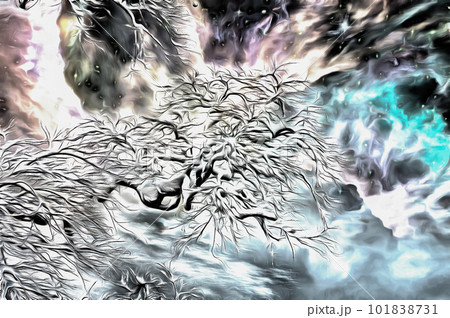 Winter's tree 101838731