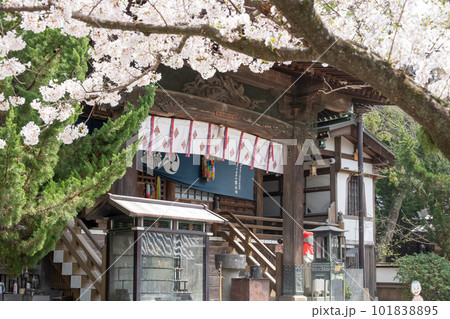 【第1番札所】桜咲く霊山寺 大師堂【四国八十八箇所】 【第1番札所】桜咲く霊山寺 大師堂【四国八十八箇所】 101838895