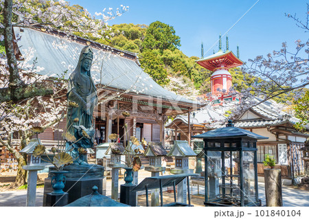 【第23番札所】春の薬王寺　魚籃観音　本堂　瑜祇塔【四国八十八箇所】 101840104