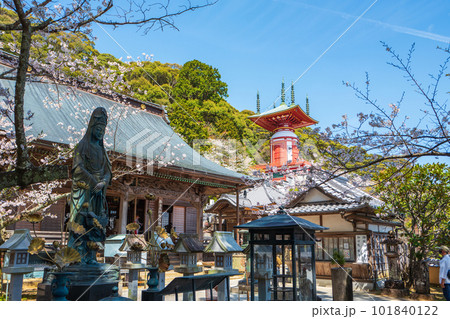 【第23番札所】春の薬王寺　魚籃観音　本堂　瑜祇塔【四国八十八箇所】 101840122