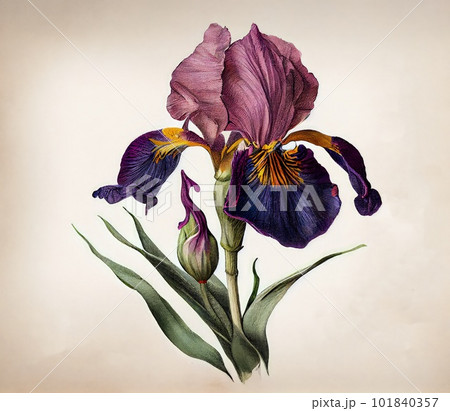 Iris Flower Botanical Illustration, Blue Spring Flowers Realistic Painting, Abstract Generative AI Illustration 101840357
