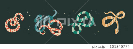 Cute twisted snakes with an abstract print inside. Flat vector illustration for design. Cute twisted snakes with an abstract print inside. Flat vector illustration for design. 101840774