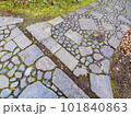 落葉のある石畳 101840863