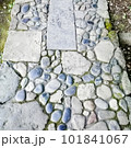 苔のある石畳の道 101841067
