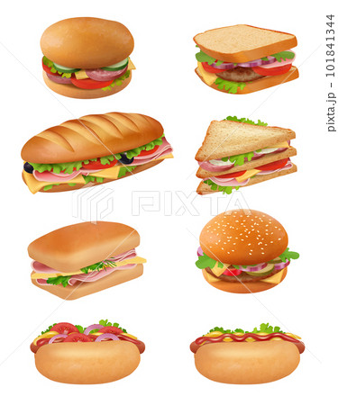 Sandwitch. Helthy natural meal and vegetables in delicious bun decent vector realistic picture of burgers and sandwiches 101841344