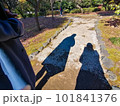 自然豊かな道をゆく人影 101841376