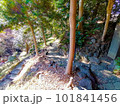 心地よい日差しと木陰の風景 101841456