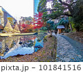 石畳の道と雪吊りのきれいな池 101841516