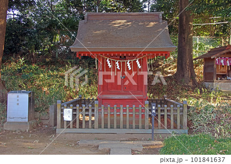 三芳野神社(川越) 三芳野神社(川越) 101841637