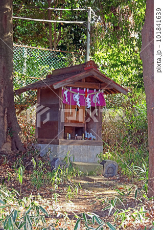 三芳野神社(川越) 三芳野神社(川越) 101841639