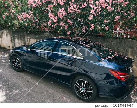 Mercedes CLA 200 parked under a blooming pink oleander bush 101841644