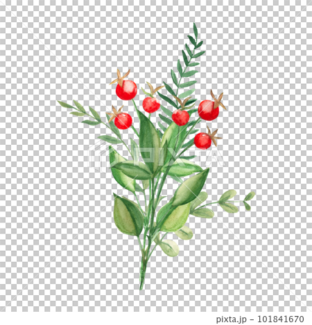 Watercolor summer bouquet of abstract green branches and red berries. Botanical hand drawn illustration. Can be used for greeting cards, invitations, floral design. Watercolor summer bouquet of abstract green branches and red berries. Botanical hand drawn illustration. Can be used for greeting cards, invitations, floral design. 101841670