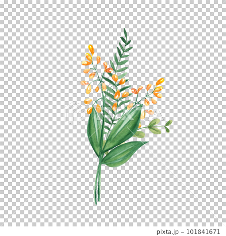 Watercolor summer bouquet of green branches and wildflowers. Botanical hand drawn illustration. Can be used for greeting cards, invitations, floral design. 101841671