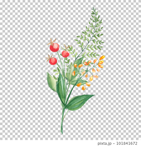 Watercolor summer bouquet of green branches, wildflowers and red berries. Botanical hand drawn illustration. Can be used for greeting cards, invitations, floral design. Watercolor summer bouquet of green branches, wildflowers and red berries. Botanical hand drawn illustration. Can be used for greeting cards, invitations, floral design. 101841672