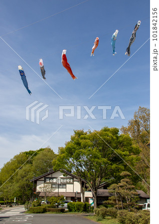 道の駅霊山たけやま 鯉のぼり 道の駅霊山たけやま 鯉のぼり 101842156