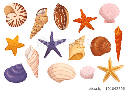 Set Of Seashells And Starfishes Icons, Perfect For Coastal Decor, Beach-themed Crafts, And Adding A Touch Of The Ocean Set Of Seashells And Starfishes Icons, Perfect For Coastal Decor, Beach-themed Crafts, And Adding A Touch Of The Ocean 101842296