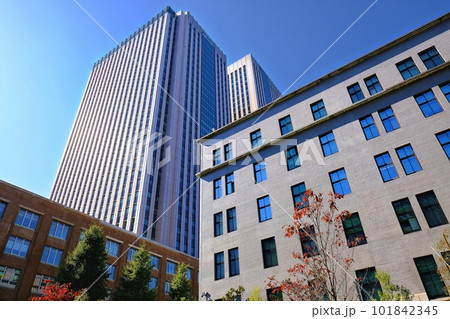 霞が関　官庁街 101842345