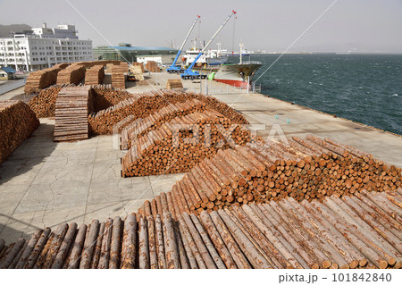 春の北海道函館市函館港中央ふ頭で木材の荷積み作業の貨物船の風景を撮影 春の北海道函館市函館港中央ふ頭で木材の荷積み作業の貨物船の風景を撮影 101842840