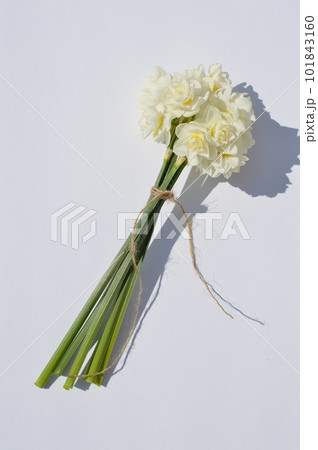 白バックに白い房咲きスイセンの花束　　 　 101843160