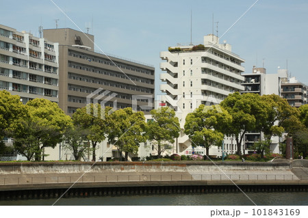 鶴見川沿いを歩いた 鶴見川沿いを歩いた 101843169