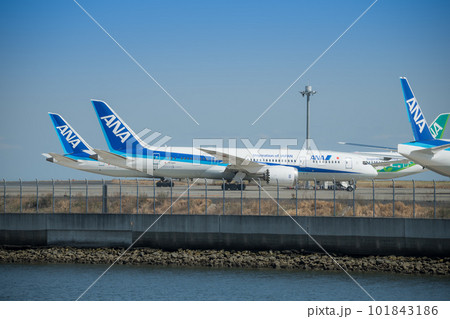 【京浜島つばさ公園からのANA機】 【京浜島つばさ公園からのANA機】 101843186