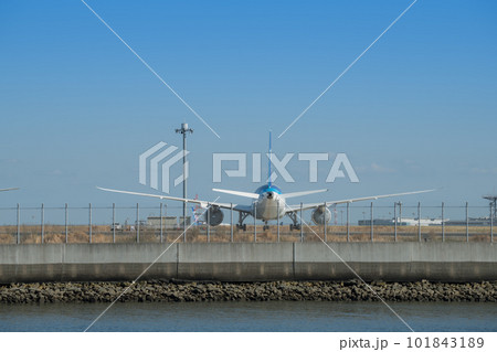 【京浜島つばさ公園からのANA機】 101843189