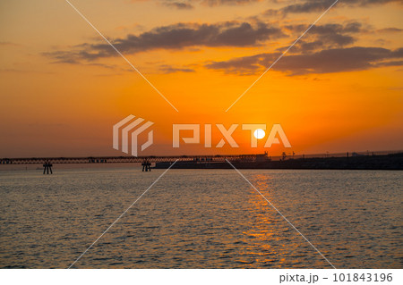 【京浜島つばさ公園からの日の出】 【京浜島つばさ公園からの日の出】 101843196