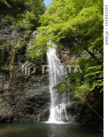 箕面の大瀧 101843203