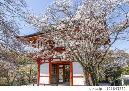 瀧山寺（岡崎市）三門 101843252