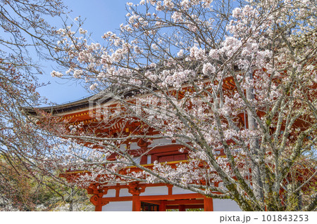 瀧山寺(岡崎市)三門 瀧山寺(岡崎市)三門 101843253
